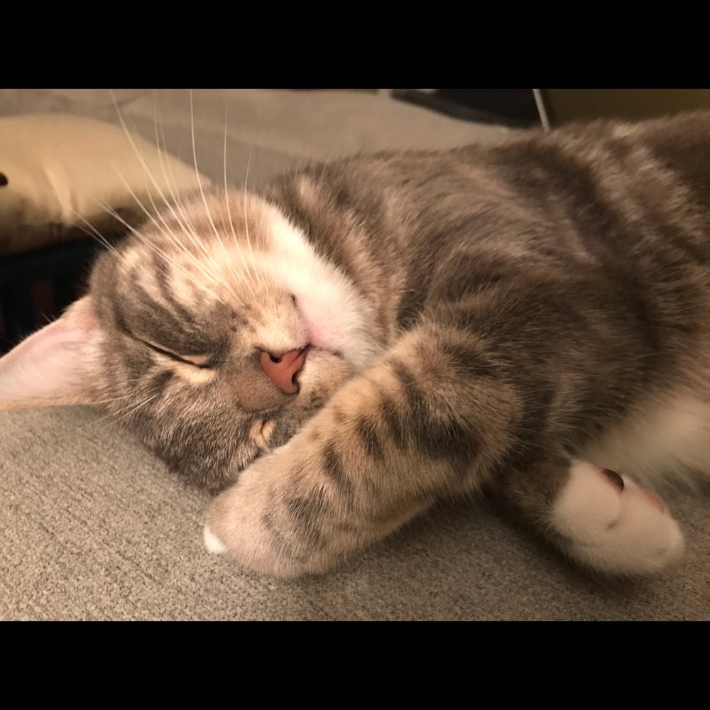 Meet your Posher, Aly